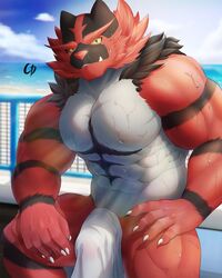 1boy 2020 4:5 5_fingers anthro bara big_muscles black_body black_fur bodily_fluids cancerdoge claws cover fingers fur green_eyes grey_body grey_fur hi_res humanoid_hands incineroar looking_at_viewer male male_only muscular muscular_anthro muscular_male nintendo pokémon_(species) pokemon red_body red_fur red_nose sitting solo striped_body striped_fur stripes sweat tenting towel towel_only video_games white_claws yellow_sclera