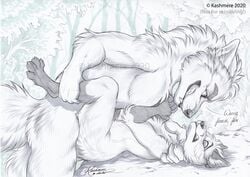 2020 4_toes 5_fingers anthro anthro_on_anthro anthro_penetrated anthro_penetrating anthro_penetrating_anthro canid canine canis day detailed_background domination fingers forest fox grass kashmere male male/male male_domination male_penetrated male_penetrating male_penetrating_male mammal outside penetration questionable_consent toes tree wolf