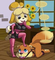 animal_crossing anthro ball_gag bondage bound canid canine canis conker conker's_bad_fur_day conker_the_squirrel domestic_dog dominant_female dominatrix duo english_text female gag hi_res isabelle_(animal_crossing) latex male mammal nintendo rareware rodent sciurid straight submissive submissive_male text video_games