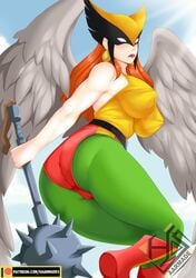 big_breasts clothed_female dc dc_comics female female_focus female_only haarmades hawkgirl long_hair nipples nipples_visible_through_clothing solo solo_female solo_focus