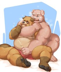 2020 absurd_res anthro aotoaka belly blush brown_body brown_fur bulge canid canine clothed clothing duo erection erection_under_clothing fur handjob hi_res humanoid_hands male male/male mammal moobs nipples overweight overweight_male penile raccoon_dog sex suid suina sus_(pig) tanuki underwear wild_boar