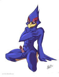 abs anthro barefoot closed_mouth color erection falco_lombardi kneeling looking_left male male_only nintendo nude open_eyes penis pheasant simple_background solo star_fox testicles white_background