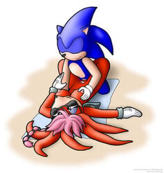 blue_fur furry hedgehog knownvortex lara-su mammal sex sonic_(series) sonic_the_hedgehog