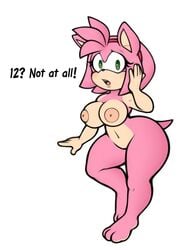 accessory amy_rose anthro big_breasts breasts concerned dialogue eulipotyphlan featureless_crotch female green_eyes hair headband hedgehog looking_at_viewer mammal mobian_(species) navel nude pink_body pink_hair sega simple_background solo sonic_(series) sonic_the_hedgehog_(series) stunnerpony white_background wide_hips