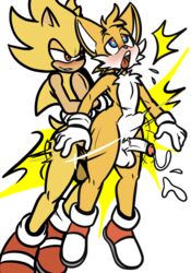 canid canine duo eulipotyphlan fox genitals hedgehog hi_res male male/male mammal penis sex sonic_(series) sonic_the_hedgehog sonic_the_hedgehog_(series) sonic_the_hedgehog_2 super_sonic taillove_(artist) tails