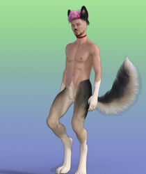 3d 3d_(artwork) animal_genitalia canid canine canis collar digital_media_(artwork) fully_sheathed fur genitals hulksmash31 hulksmash31_(artist) humanoid hybrid male male_only mammal paws satyr sheath solo