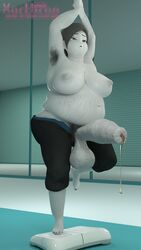 wii fit trainer from nintendo by xarthrag