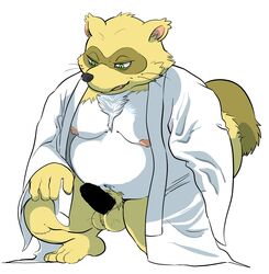 2020 anthro balls belly brown_body brown_fur canid canine censored clothing erection fur genitals green_eyes hi_res hysk kemono male male_only mammal moobs nipples overweight overweight_anthro overweight_male penis raccoon_dog robe sengoku_puzzle simple_background solo tanuki tokugawa_ieyasu video_games white_background