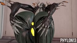 ass ass_focus ass_grab ass_spread asshole big_ass big_butt fat_ass oberon_(warframe) phylon13 pussy sfm source_filmmaker warframe