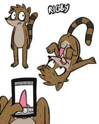 2020 4:5 animal_genitalia animal_penis anthro anus balls blush cartoon_network fur genitals male male_only mammal penis phone pink_penis pokefound procyonid raccoon regular_show rigby_(regular_show) solo tapering_penis