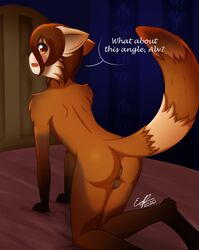 1boy ailurid anthro ass blush brown_body brown_fur brown_hair cute erdfurry fur furry genitals highres looking_at_viewer male male_only mammal red_panda solo testicles zithz_(erdfurry)