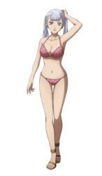 1girls bikini black_clover female female_only full_body grey_hair light-skinned_female light_skin noelle_silva pale-skinned_female pale_skin purple_eyes royal royalty sandals silver_hair solo solo_female transparent_background