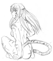 breath_of_fire breath_of_fire_iii catgirl rei rule_63 tagme