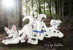 anthro bolt_(character) bolt_(film) canine colifox dalmatian day disney dog feral fur furry furry_only gay male male_only multiple_males no_humans nude outdoors penis yaoi