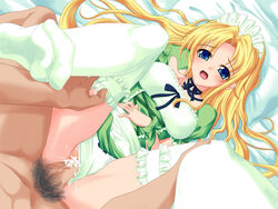 Riesz Rule 34 Image
