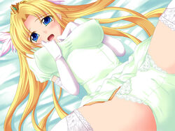 Riesz Rule 34 Image