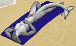 Anthro Rule 34 Image