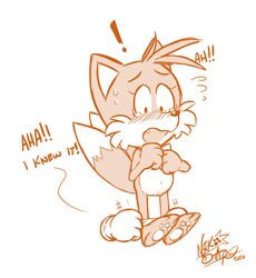 anthro assisted_exposure barefoot belly_button blush crying cute female female_only fluffy forced_exposure fox furry furry_only genderswap nekostar nude panties panties_aside pantsing paws pussy rule_63 sega shy sonic_(series) tails tailsko tears