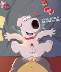 absurdres anal anal_beads anal_sex animal_genitalia animal_penis anthro brian_griffin buttplug canid canine canine_penis canis domestic_dog duo family_guy furry genitals highres magzol male male_only mammal penis pov sex_toy testicles yaoi