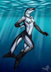 anthro black_body blue_eyes breasts detailed_background dolphin fangs female female_only grey_body hybrid linsey_huish marine multicolored_body nipples open_mouth open_smile orca piercing sidian smile solo tail underwater white_body