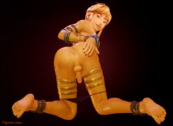 gerudo link from hyrule warriors by captain nsfw