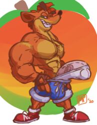 1boy 2020 abs absurd_res activision anthro bandicoot big_penis bottomwear bulge clothed clothing crash_(series) crash_bandicoot digital_media_(artwork) drawstring erection eyebrows fingerless_gloves footwear fur genitals gloves green_eyes grin hair half-closed_eyes handwear hi_res looking_at_viewer male male_only mammal marsupial maxpany multicolored_body multicolored_fur muscular muscular_anthro muscular_male narrowed_eyes open_mouth orange_body orange_fur penis red_hair shoes shorts simple_background smile solo stretched_clothing teeth thick_eyebrows topless two_tone_body two_tone_fur underwear vein veiny_penis video_games white_underwear wumpa_fruit