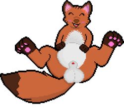 animal_genitalia animated balls belly_press blush canid canine digital_media_(artwork) fangs feral fox genitals low_res male mammal pawpads pixel_(artwork) pixel_animation sheath short_playtime smile solo spread_legs spreading teeth vore vorochi