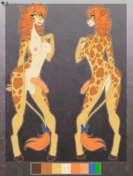 1futa 2020 anthro areola ariveil balls breasts digital_media_(artwork) futanari genitals giraffe giraffid gynomorph hi_res humanoid_genitalia humanoid_penis intersex mammal model_sheet nipples penis solo