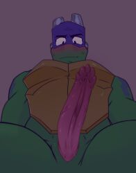 donatello furry male rise_of_the_teenage_mutant_ninja_turtles teenage_mutant_ninja_turtles tmnt