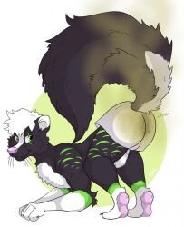 anthro ass ass_up clothed clothing fart feces hi_res looking_back male mammal mephitid nude partially_clothed pawpads paws raised_tail ravick_the_skunk rockyjstinkston skunk skunk_spray skunk_tail slim smelly soiling solo tail underwear