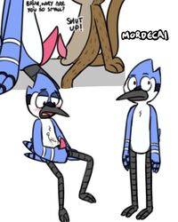 2020 4:5 anthro avian balls bird blue_jay blush bodily_fluids cartoon_network comparing comparing_penis corvid cum cum_on_self frottage gay genital_fluids genitals jay_(bird) male male/male masturbation mordecai_(regular_show) new_world_jay oscine passerine penis pokefound regular_show rigby_(regular_show) sex