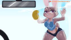 1girls against_glass anthro big_ass biting_lip brachyzoid breast_squish breasts car_wash female fully_clothed judy_hopps looking_at_viewer solo sponge tagme thick_thighs thong windshield zootopia