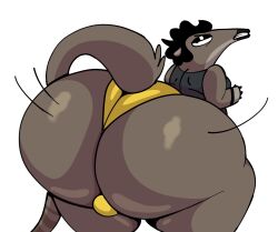 anteater anthro ass balls big_butt black_hair breathotter calvin_schreiber clothing genitals hair hi_res huge_butt male mammal panties pilosan shaking_butt solo teeth underwear xenarthran