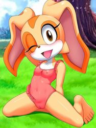 1girls 5_toes anthro bbmbbf brown_eyes cameltoe cream_the_rabbit feet female_only mobius_unleashed nipples nipples_visible_through_clothing one-piece_swimsuit palcomix rabbit sonic_(series) translucent_clothing