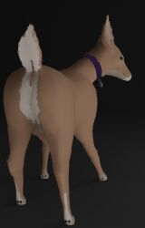 3d_(artwork) anatomically_correct animal_genitalia anus ass_up blender_(software) blender_eevee brown_body brown_fur cervine_genitalia cervine_pussy collar collar_only deer digital_media_(artwork) doriyote female feral fur genitals hi_res juniper_(laserkitten) looking_at_viewer looking_back mammal new_world_deer nude presenting pussy raised_tail simple_background solo tail white-tailed_deer