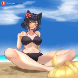 2girls beach black_hair blake_belladonna blonde_hair cat_ears catgirl firelordzuu rwby yang_xiao_long