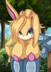 bunnie rabbot from sonic (series) by fenrox