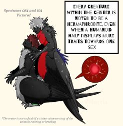 avian avian_feet avian_taur bird bird_taur breasts cel_shading clawed_feet clawed_fingers claws covered_eyes cuntboy duo european_mythology feather_ear feather_hair feathering feathers frigatebird fur futanari greek_mythology harpy humanoid intersex intersex/intersex male mythological_avian mythology original_characters pseudo_hair puppetmaster13uwu shaded sperm_cell spread_wings taur taur_on_taur toe_claws wings wings_folded