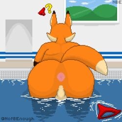 anthro anus ass balls big_butt brown_body brown_fur canid canine clothing detailed_background digital_media_(artwork) fox fur genitals half_submerged looking_away lost_swimsuit male mammal notbraveenough nude orange_body orange_fur pixel_(artwork) pool presenting presenting_anus public_pool question_mark rear_view red_clothing red_swimwear shadow slightly_chubby solo solo_focus swimming_pool swimwear tail tan_body tan_fur water watermark window