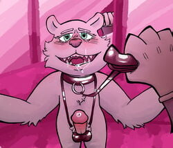 <3_eyes absurd_res anthro balls blush bodily_fluids clothing duo erection fur gallardo genitals gloves green_eyes handwear heart hi_res holding_leash holding_object leash male male_only mammal open_mouth penis pink_background pink_penis simple_background ursid white_body white_fur