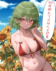 big_breasts bikini breasts cleavage green_hair light-skinned_female light_skin long_eyelashes red_eyes short_hair sugar_you touhou translated yuka_kazami yuuka_kazami