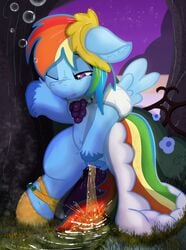 animal_genitalia animal_pussy bodily_fluids dress equine_pussy female feral friendship_is_magic genital_fluids genitals hi_res mlp my_little_pony not_texmex peeing pussy rainbow_dash_(mlp) solo urine watersports