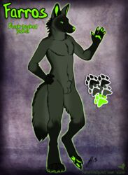 anthro balls black_fur canine claws fluffy fluffy_tail fur genitals green_eyes grey_fur jackal linsey_huish male male_only sidian simple_background solo tail