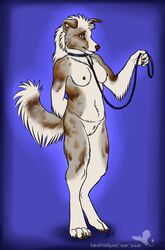 anthro blue_eyes brown_fur canine chubby chubby_female claws fluffy fluffy_tail genitals linsey_huish nipples pussy sidian simple_background tail vagina white_fur