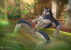 abs anthro balls bathing bathroom canid canine canis domestic_dog erection fur genitals grey_body grey_fur hi_res humanoid_genitalia humanoid_hands humanoid_penis husky inkudoragoon kemo_coliseum male male/male mammal muscular muscular_anthro muscular_male nipples nordic_sled_dog penis plant shy solo spitz volga wet white_body white_fur