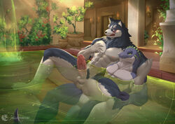 abs anthro balls bathing bathroom canid canine canis crocodilian domestic_dog duo erection fur genitals grey_body grey_fur hi_res humanoid_genitalia humanoid_hands humanoid_penis husky inkudoragoon isandro kemo_coliseum male male/male mammal muscular muscular_anthro muscular_male nipples nordic_sled_dog penis plant reptile scalie shy spitz volga wet white_body white_fur