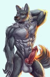 anthro big_penis canid canine canis chill_dowg chilldog erection fur furry genitals grey_body grey_fur knot male male_only mammal muscular muscular_anthro muscular_male nude penis solo testicles wolf