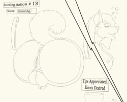 1futa absurd_res anthro anus ass azrealm azrealm1 balls bondage bound breasts canid canine canis chastity_cage chastity_device clitoris domestic_dog female full-package_futanari furry futa_only futanari futasub genitals herm hermaphrodite hi_res husky intersex mammal money multi_genitalia nordic_sled_dog penis pussy raised_tail solo spitz stuck_in_wall text through_wall