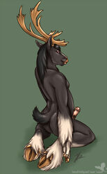 anthro black_fur cervine deer equine fur genitals horse hybrid kneeling linsey_huish male male_only on_knees penis red_eyes sidian simple_background smile solo two_tone_fur white_fur