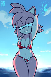 amy_rose anthro background bikini female female_only green_eyes mrguy820 pose solo sonic_(series) sonic_the_hedgehog_(series)